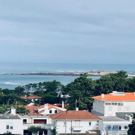 Apartment In Moledo Beach, W/ Amazing Ocean View