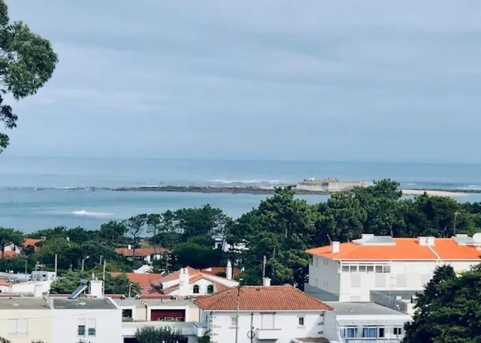 Apartamento In Moledo Beach, W/ Amazing Ocean View